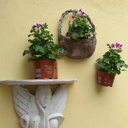 2room Pearl In Flower Riviera 2km From Cote D'azur Specifically For Young Feeling People *