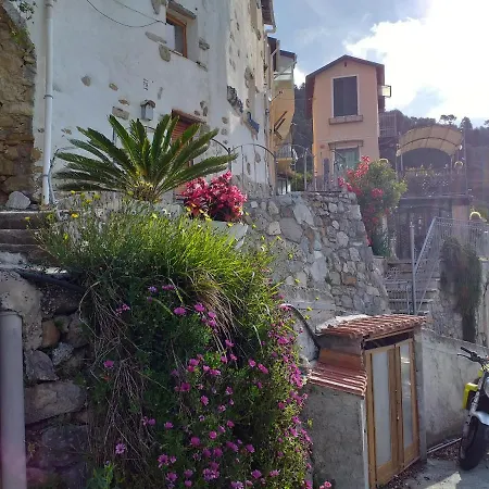 2room Pearl In Flower Riviera 2km From Cote D'azur Specifically For Young Feeling People Apartment *