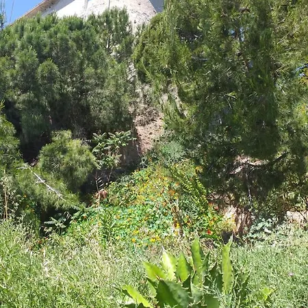 2room Pearl In Flower Riviera 2km From Cote D'azur Specifically For Young Feeling People *